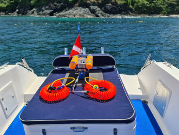 The DiveBuddy Hookah compressor is sitting on the rear boat seat ready with the 2 orange coiled hookah breathing hoses and regulators. The US Red dive flag is flying in the breeze in front of the water and tropical Island shore Picture