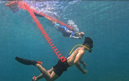 Image of 2 hookah divers breathing from the surface DiveBuddy Air hookah compressor while descending from their coiled hookah dive hoses while the diver in the background  clears his ear pressure by holding his nose and blowing.